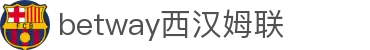 betway·必威(西汉姆联)官方网站-Official Platform